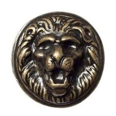 a lion head is shown on the front of a metal door knocker, with an ornate design