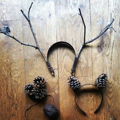 pine cones and twigs are arranged in the shape of an animal's head on a wooden floor