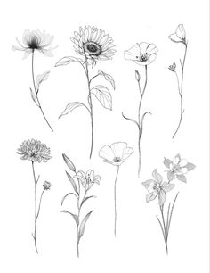 flowers are shown in black and white on a white background