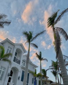 palm trees in front of a white house with blue shutters