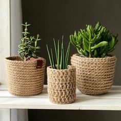 three crocheted baskets with plants in them sitting on a shelf next to a window