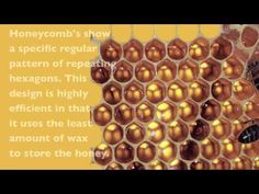 honeycombs show a specific regular pattern of repeating hexagons, this design is highly efficient in that it uses the least amount to store of wax