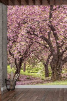 Cherry blossom mural with pink blossoms on trees in spring on the wall of an office. Cherry Blossom Tree Wallpaper, Cherry Blossom Mural, Blossom Tree Wallpaper, Blossom Mural, Wallpaper Uk, Floor Wallpaper, Blooming Trees, Nursery Office