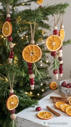 orange slices are hanging from the branches of a christmas tree with cinnamon sticks and other decorations