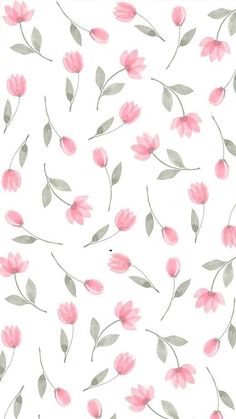 pink flowers and green leaves on a white background