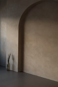 Photography studio with trendy limewash textured walls and giant arch in lifestyle room. Limewash Arch Wall, Spa Inspired Wallpaper, Brushed Paint Wall, Limewash Room Ideas, Brown Lime Wash Wall, Dark Brown Limewash, Light Grey Limewash Walls, Acid Wash Paint Wall, Dark Lime Wash Walls