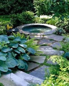 a garden with a pool surrounded by greenery