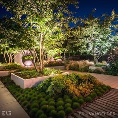 an outdoor garden at night with trees and bushes in the foreground, lit by lights