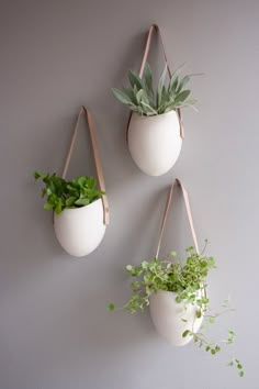 three hanging planters on the wall with plants in them and one is holding a potted plant