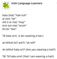 an irish language learner's guide for beginners