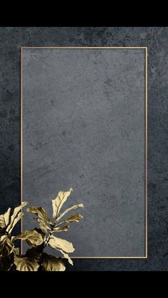 a gold frame on a gray wall with a plant in it and a black background