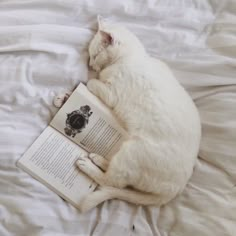 a white cat laying on top of a bed with an open book in it's paws