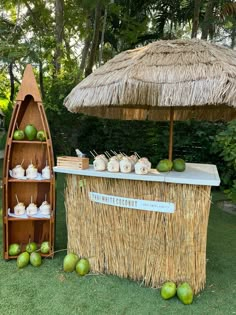 an outdoor bar with straw umbrella and coconuts on the grass, next to it