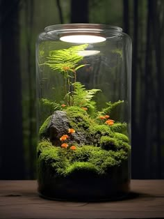 a glass jar filled with plants and rocks on top of a wooden table in front of a forest