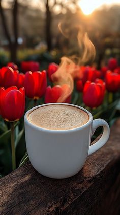 a cup of coffee sitting on top of a wooden table next to red tulips