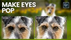 two pictures of a dog's face with the words make eyes pop