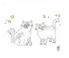 two cats standing next to each other on top of a white surface with stars in the background