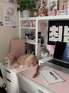 an orange cat sitting on top of a desk next to a laptop computer