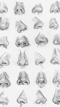 a drawing of different types of nose shapes