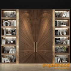 an open bookcase with books on it and a wooden door in the center, surrounded by shelves filled with books