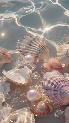 many seashells are floating on the water and some have bubbles in them,