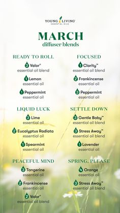 March Diffuser Blends, Valor Essential Oil Blend, Essential Oil Combos, Valor Essential Oil, Joy Instagram