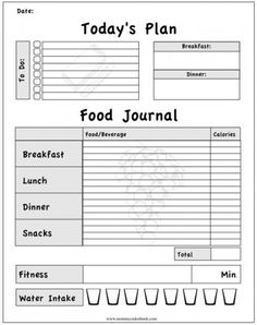 a printable food journal with the words today's plan, and an image of a