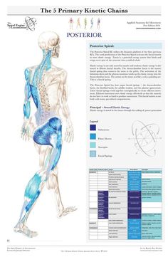 "La ciencia que da vida a los años..." Estudiantes de fisioterapia... ¡éste es vuestro sitio! :) Medical Anatomy, Music A