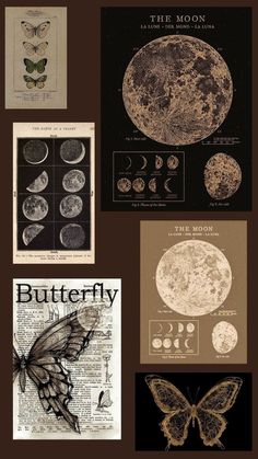 the moon and butterflies are on display in this collage