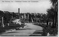 an old postcard shows a cemetery and trees in the foreground, with palm trees on either side