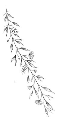 a black and white drawing of a branch with flowers on it's end, drawn by hand