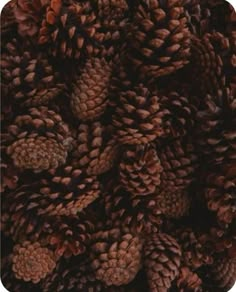 a bunch of pine cones piled on top of each other