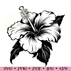 a black and white flower on a pink background with the words svg png df