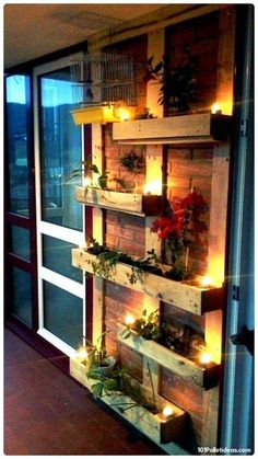 some shelves with plants and lights in them on the side of a window sill