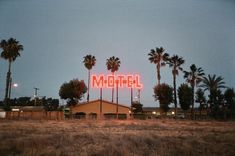 the motel sign is lit up in front of palm trees