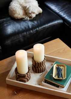 two candles are sitting on a tray next to some books and a dog laying in the background