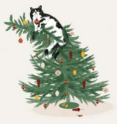 a black and white cat sitting on top of a christmas tree