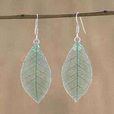 two leaf shaped earrings hanging from a branch