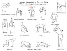 an exercise chart with instructions for upper and lower body stretches, including exercises to do