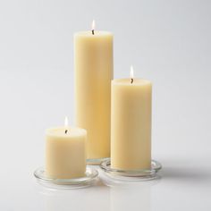 richland pillar candles 3 x3 3 x6 3 x9 ivory set of 3 Beige Candles, Bouquet Succulent, Contemporary Candles, Ivory Pillar Candles, Glass Pillar Candle Holders, Den Decor, Candle Shades, Modern Candles, Square Vase