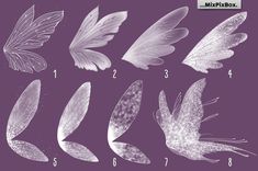 the different types of feathers are shown in this image, and there is no image on it