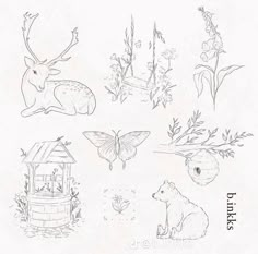 some animals and plants are drawn on paper