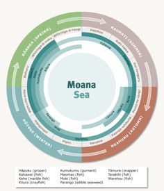 a circular diagram with the words nga awa, fresh water and other things in it