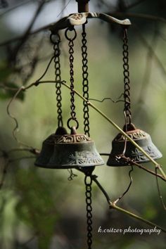 two bells are hanging from a tree branch