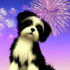 a black and white dog sitting on top of a purple field with fireworks in the sky