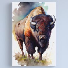 a watercolor painting of a bison standing in the grass