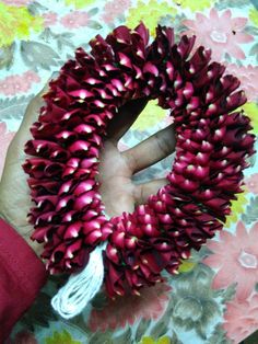 a hand holding a wreath made out of red flowers