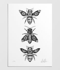 three bees are shown in black and white, with one bee on the left side