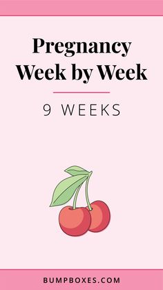 the pregnant woman's guide to pregancy week by week 9 - weeks