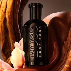 Hugo Boss Perfume, Hugo Boss Fragrance, Incense Oil, Tree Root, Luxury Cosmetics, Woody Fragrance, Hugo Boss Man, Luxury Perfume, Fig Tree